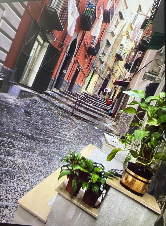 Casa Mari' Centro Storico Vicino Hotel Caracciolo Νάπολη Εξωτερικό φωτογραφία